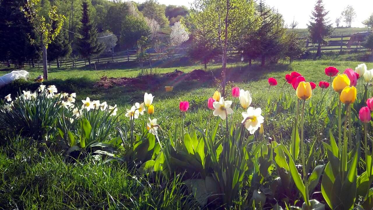 Дома для отпуска Sunnyside Жабляк